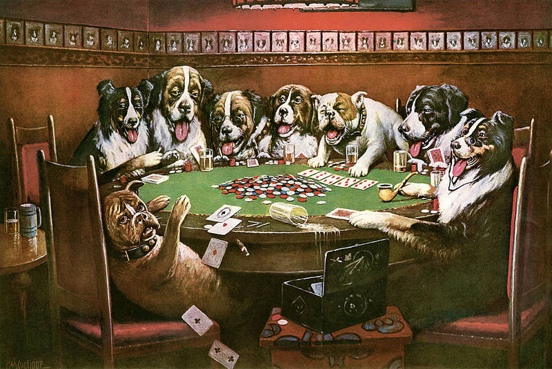 Image result for dogs playing cards